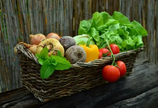 Fruit vegetable Calidad Gestión Solución